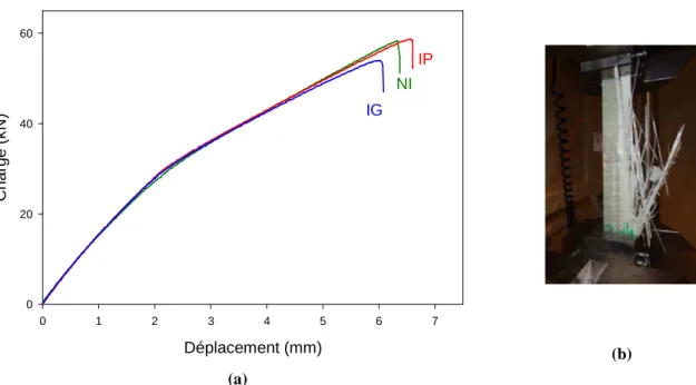 Figure 4.6. a) Courbes charge-déplacement déduites des essais de traction en statique sur les trois types de  matériaux unidirectionnels (NI), (IP) et (IG) et b) Eprouvette intégrée après la rupture 