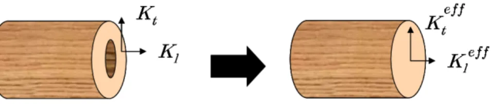 Fig. 4.8 – Illustration de l’homogénéisation d’une fibre de bois.