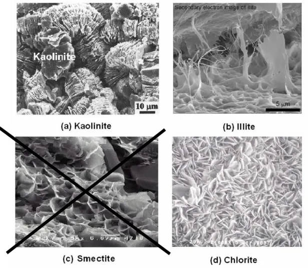 Figure 3-1 : Photos au microscope électronique à balayage des différentes familles d’argile  constituant l’argile de l’Aptien (Kaolinite 49%, Illite 42%, Smectite 0%, Chlorite 7%) 