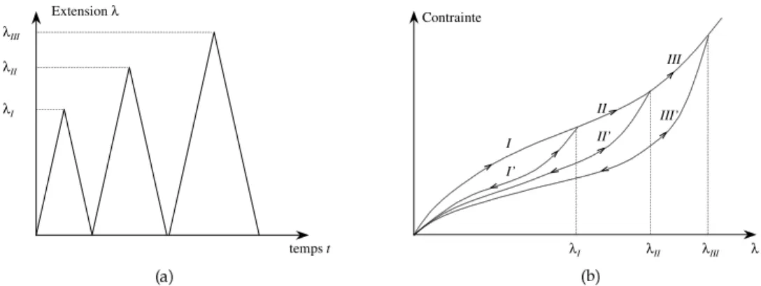 Fig. 3.14 – Comportement id´ealis´e hyper´elastique avec effet Mullins : (a) his- his-toire d’extension impos´ee, (b) r´eponse du mat´eriau