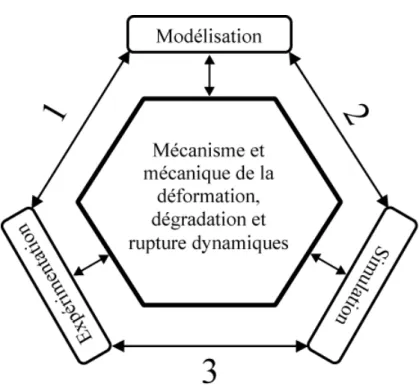 Figure 7 : différentes démarches en mécanique de la déformation, de la dégradation et de la rupture sous sollicitations dynamiques.