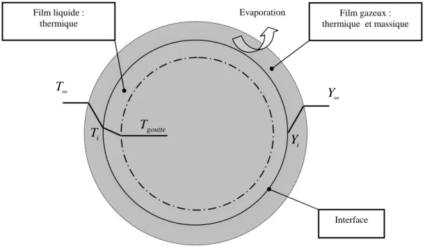 Figure I. 11 : Représentation du phénomène de l’évaporation d’une goutte, modèle du double film