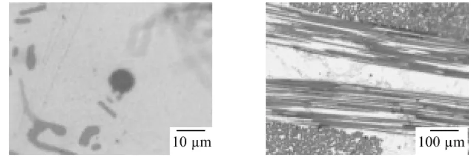 Figure III.1: Photographies de la fibre et de son environnement, choisis pour être  suivis en corrosion avec le vidéomicroscope longue focale in situ