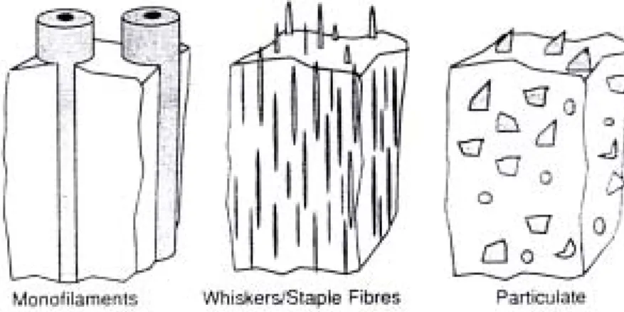 Figure V.1 : Description schématique des renforts des matériaux composites [Clyne,  1993] 
