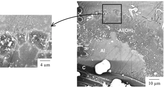 Figure I.1 : Base d’un dôme d’hydroxyde d’aluminium sur un matériau composite K139/357,  après une immersion de 60 heures en milieu chloruré
