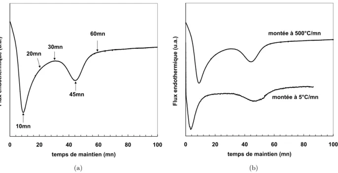 Fig. II.3 : (a) : Courbe de DSC isotherme ` a une temp´ erature de 410 ˚ C avec une vitesse de mont´ ee en temp´ erature de 500 ˚ C/mn
