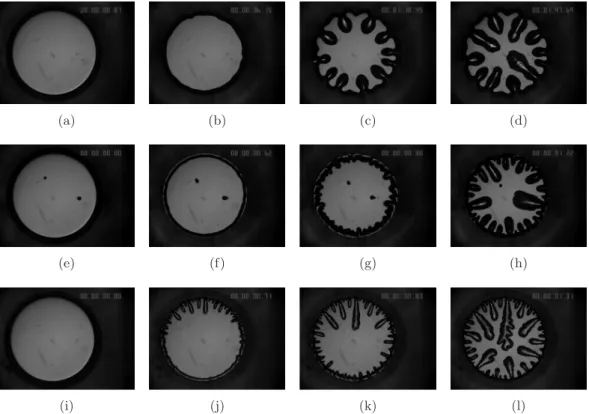 Figure 7.1.: Formation of air fingers in the bulk deformation case, r = 0.11. Upper row: