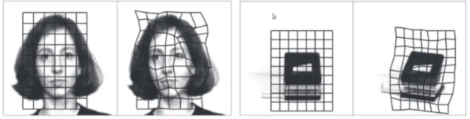 Figure 1.7: [Lades et al., 1993] align grids on prototypes to test images in order to detect object categories.