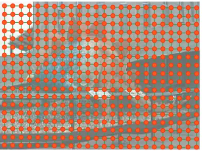 Figure 3.2: We represent images by a grid-shaped graph. The actual number of nodes is 18 by 24.