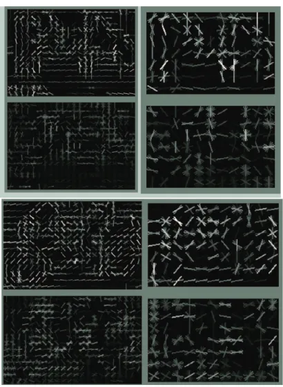 Figure 4.13: Cow and motorbike models using our model contrasting high- high-resolution, deformable template with low-high-resolution, rigid HOG templates