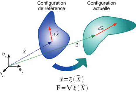 Figure II.11 : Transformation entre une configuration de référence et la configuration actuelle.