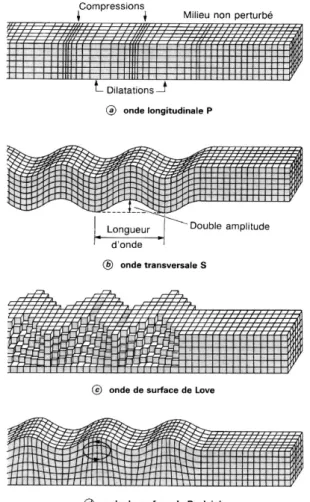 Figure 1.2 – Propagation et polarisation des ondes de volume et des ondes de surface.
