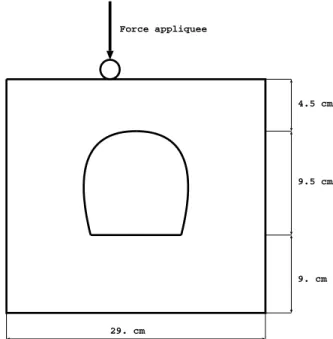 Fig. 1.2 – Forme de la plaque d’´epoxy