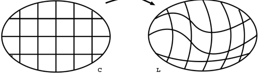 Fig. 1.3 – Le diff´eomorphisme Ψ et les deux corps Ω C et Ω L