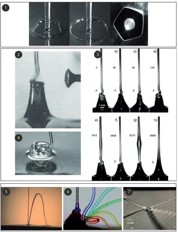 Figure 1.3 – L’expérience la plus simple de mécanique des fluide, faire chuter un fila- fila-ment liquide sous l’eﬀet de la gravité sur une surface solide et fixe, est étonnamfila-ment riche