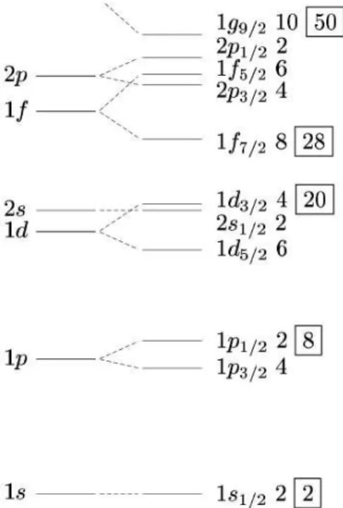 Figure 1.4 – Structure en couches des noyaux stables jusqu’` a N ou Z = 50, obtenue par Goeppert-Mayer et Jensen [50, 51].