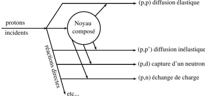 Figure 1.5 – Sch´ema de diff´erentes voies de sortie qui peuvent ˆetre obtenues via des r´eactions directes et des r´eactions par noyau compos´e ` a partir d’un proton incident