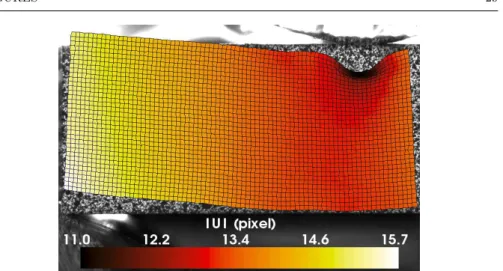 Fig. 7 Magnitude of the measured displacement field represented on the deformed mesh (amplified 50 times)