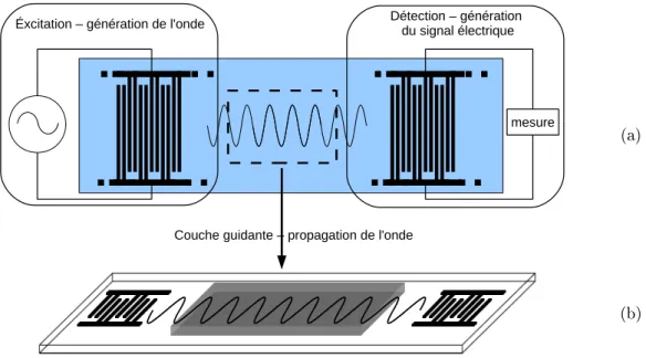 Figure 1.5  Principe de fonctionnement d'une ligne à retard à base d'ondes élastiques de surface (a) et spécication à la génération de l'onde de Love (b).