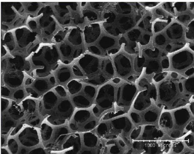Fig. 2 – Photographie au microscope ` a balayage ´ electronique de la structure microscopique d’une mousse de polyurethane, ` a pores ouverts, poss´ edant une masse volumique de 30 kg.m −3 