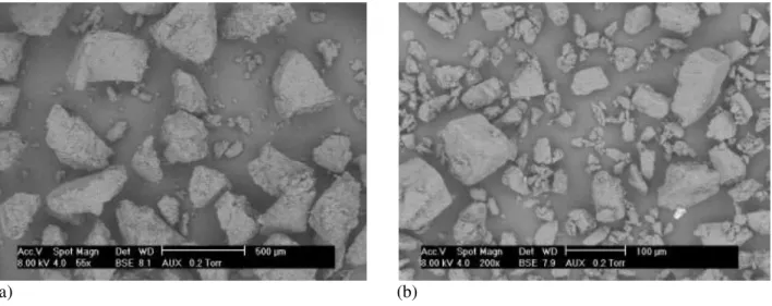 Figure 1: SEM pictures of semolina (a) and lactose (b). 