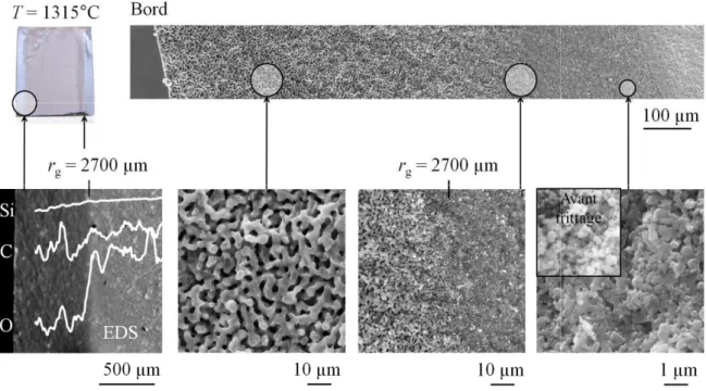 Figure  7 :  Photographie  et  micrographies  d (t = 920 min) au cours de la réduction de la silice grossissement de grain