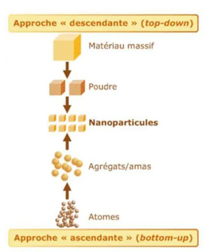 Figure 7 : Les deux approches d’élaboration des nanoparticules. 
