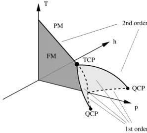 Figure 4.17: Schematic phase diagram in the tem- tem-perature - pressure - magnetic field (T-p-H) space.