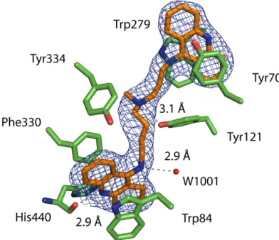 Figure  1.  NF766  in  complex  TcAChE  in  the  trigonal  crystal  form.  The  Fo-Fc  omit  electron  density  contoured at 3 σ  is displayed in blue