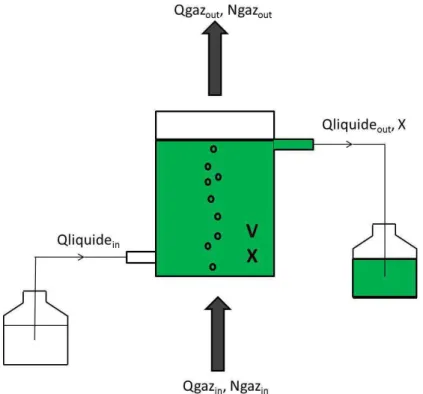 Figure I.13. Schéma d’une culture en photobioréacteur en mode continu. Qgaz in  : débit volumique de  gaz  entrant  dans  le  réacteur,  Qgaz out  :  débit  volumique  de  gaz  sortant  du  réacteur,  Ngaz in  :  débit  molaire  de  gaz  entrant  dans  le 