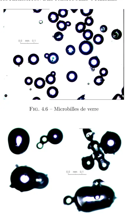 Fig. 4.6 – Microbilles de verre