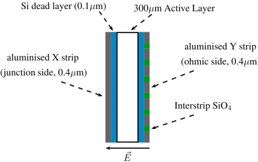 Figure 2.7: A schematic view of the layout of the DSSD p-n junction detector and its different dead layers.