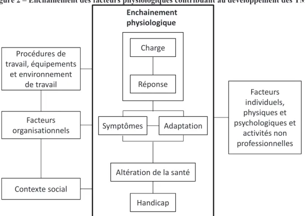Figure 2 – Enchainement des facteurs physiologiques contribuant au développement des TMS 