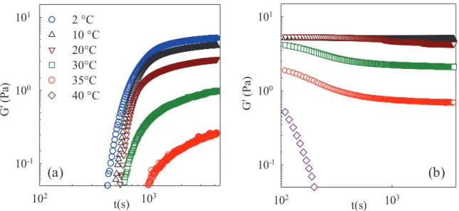 Figure VI. 1: Cinétique de gélification (a) et de fonte (b) à différentes températures pour une  solution à 2 g/L IC, à 0.1 M NaCl et à pH 7