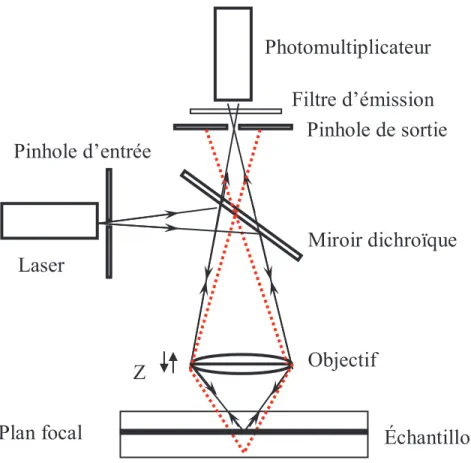 Figure II. 5: Schéma de principe du microscope confocal à balayage laser 
