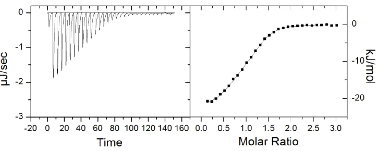 Tableau 7. Données thermodynamiques obtenues par ITC à 25°C  pour la titration  de la lectine PELa par  les  oligosaccharides H et E