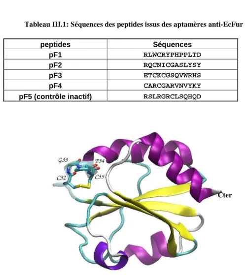 Tableau III.1: Séquences des peptides issus des aptamères anti-EcFur 