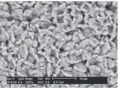 Figure IV. 11 Image MEB de la surface d!une céramique de BaAl 4 O 7  (II) après attaque chimique                                          par KOH 10% pendantr 9 h 