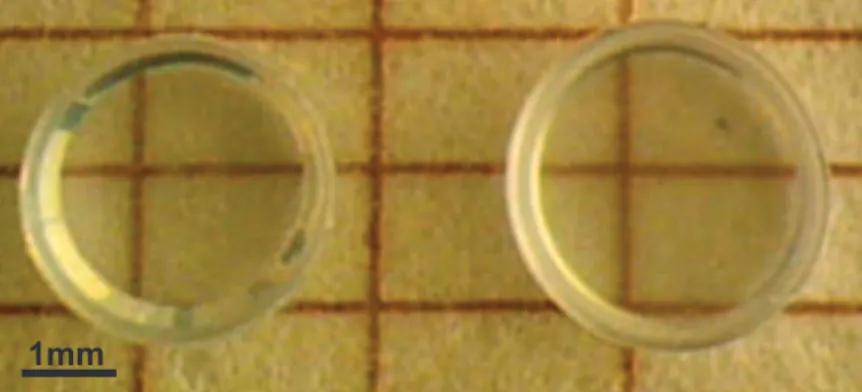 Figure a. Deux vitrocéramiques de BaAl 4 O 7 transparentes et complètement cristallisées