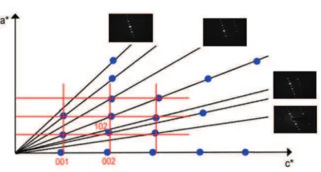 Figure V. 6 Reconstruction du réseau réciproque par rotation autour de l!axe b* montrant le plan [010]* 