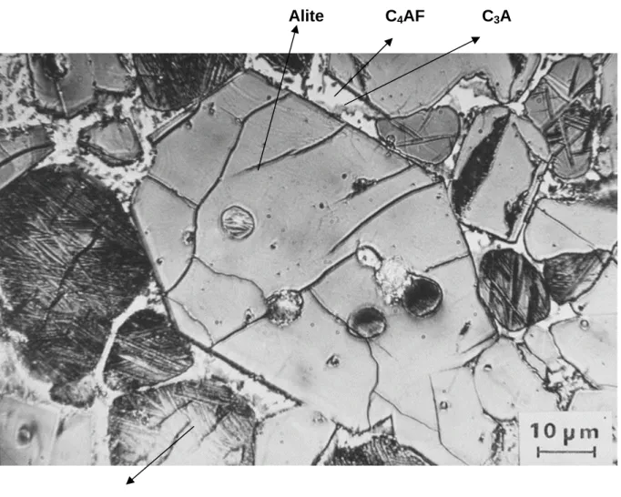 Figure I-1 : Vue d’un clinker au microscope optique (J.C Bertin, C.T.G.) 