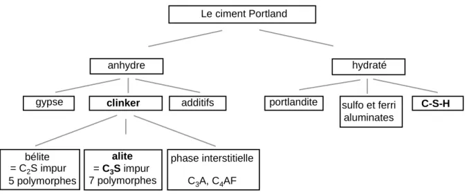 Figure I-2 : Le ciment Portland et les divers constituants qui le composent 
