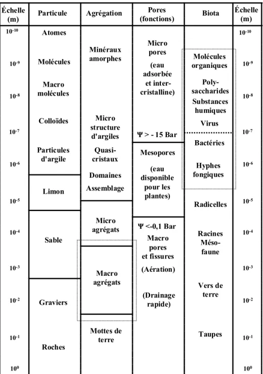 Figure 2 : Les composants du sol à différentes échelles (d