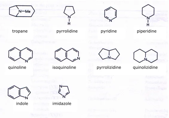 Figure 2 : classification des alcaloïdes selon leur noyau hétérocyclique.