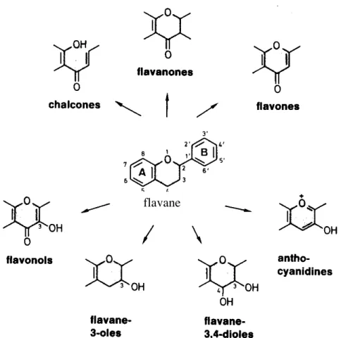 Figure 30 : définition des différents types de flavonoïdes à partir du squelette flavane.