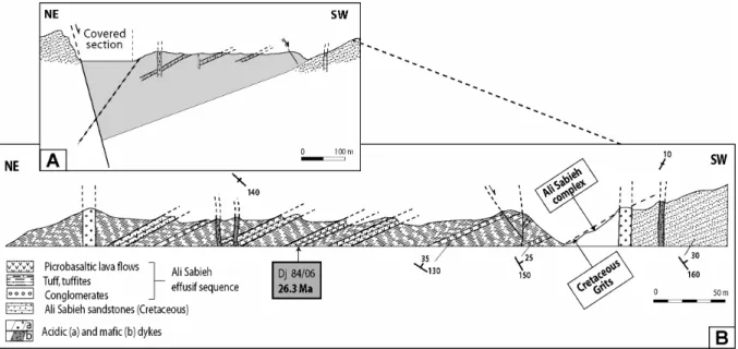 Figure 4:  Reference cross-section of a Lower Miocene half-graben structure, partly filled with effusive mafic  sequences of the Ali Sabieh complex (27-20 Ma)
