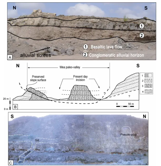 Figure  5:  Magmatic  features  of    recent  volcanic  series  in  the  Djibouti  Plain  and  Arta  relief