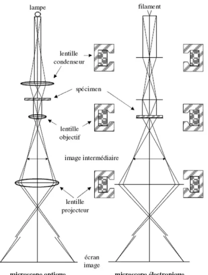 Figure 13 : Principe comparé du microscope  optique et du microscope électronique. 
