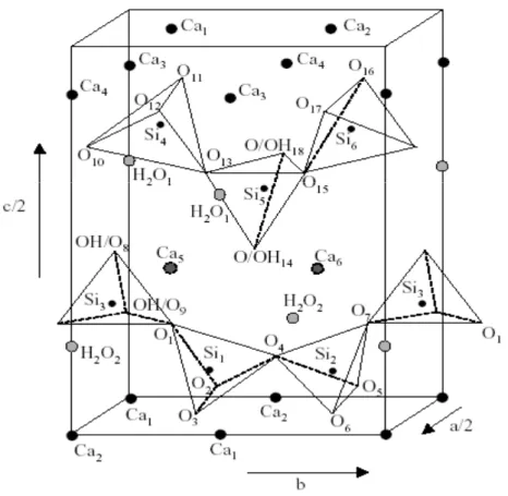 Figure II.15- Vue tridimensionnelle de la structure de la Tobermorite. Les  paramètres de maille sont a/2=5.58 Å, b=7.39 Å et c/2=11.38 Å