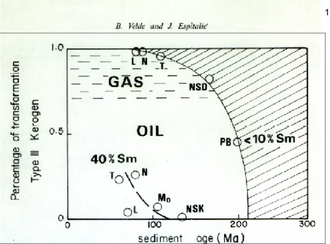 Figure 6.1 : Pourcentage de transformation du kérogène de type III en fonction de l